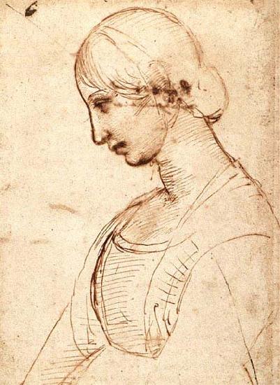 RAFFAELLO Sanzio Waist-length Figure of a Young Woman oil painting image